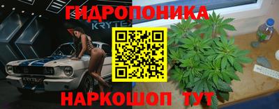 СК Донецк