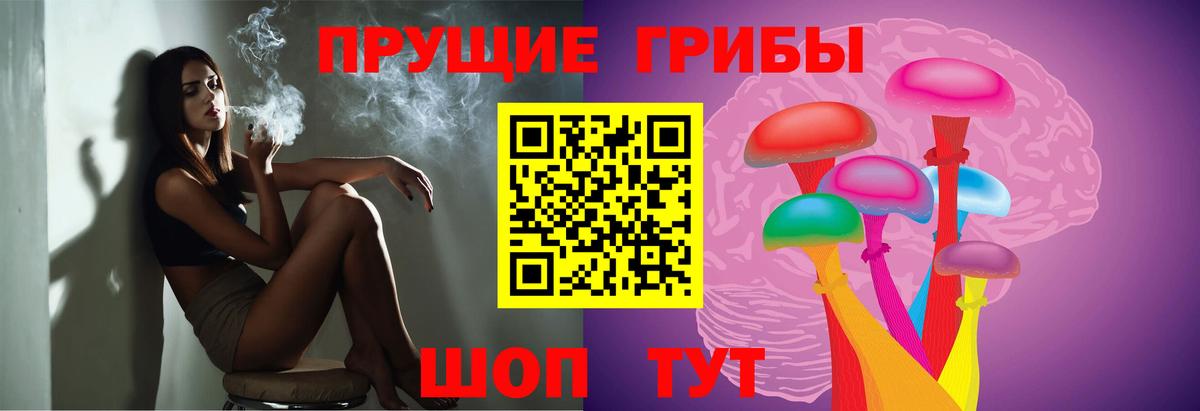Псилоцибиновые грибы GOLDEN TEACHER  Вход с VPN  Ессентуки 