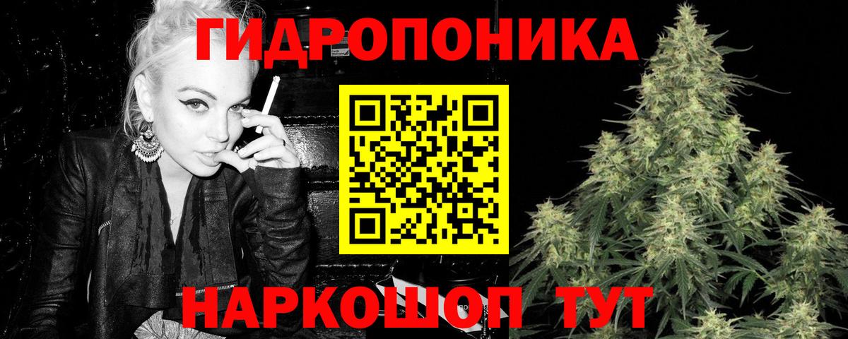 Каннабис сатива  МАРИХУАНА SATIVA & INDICA  Канабис гибрид  Канабис конопля  Ессентуки  Вход с VPN 